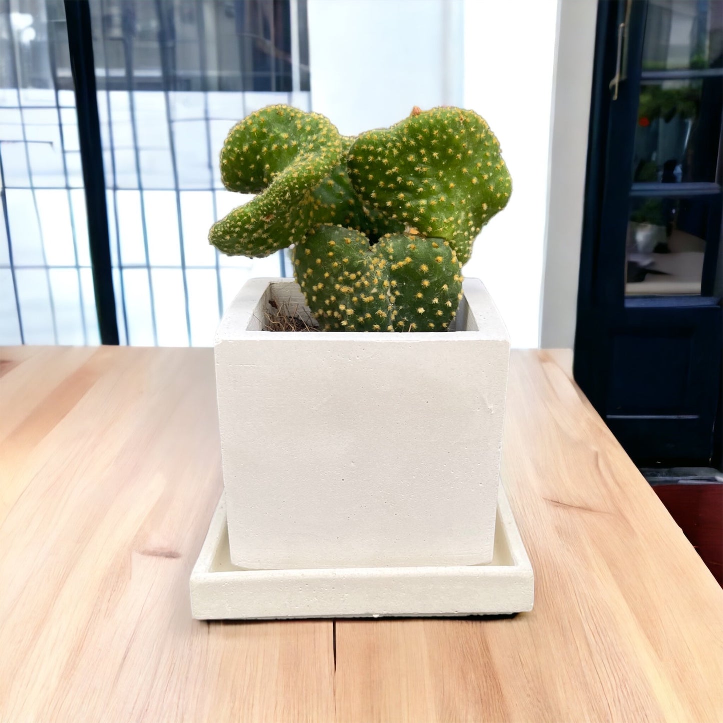 Pot de fleurs carré en béton blanc avec soucoupe et drainage