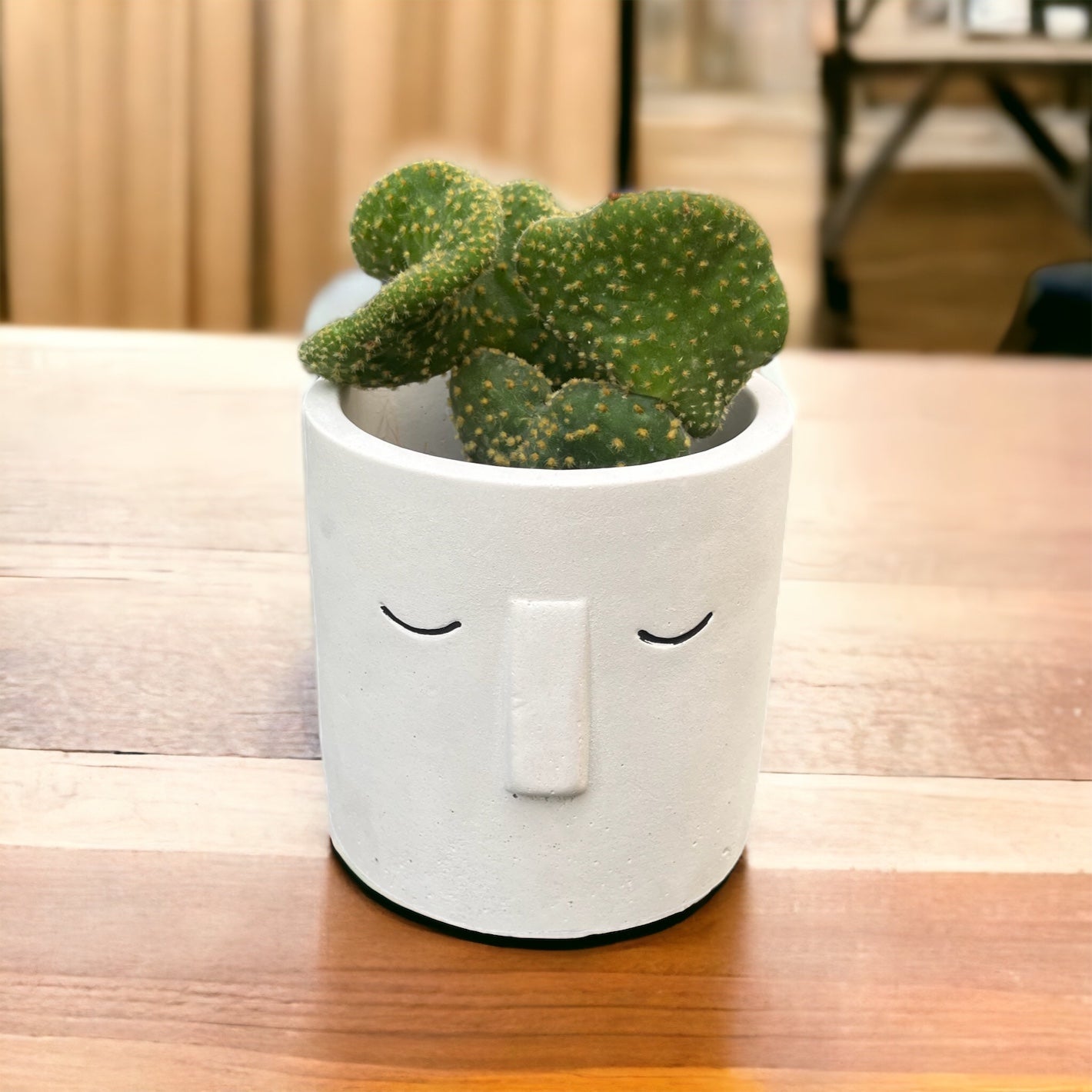 Pot de fleur MIGNON
