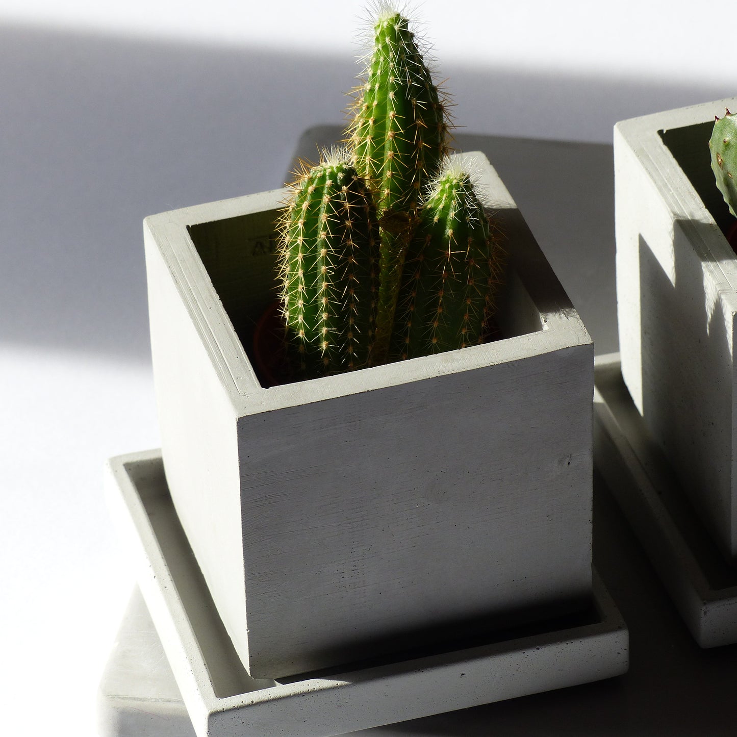 Pot de fleurs carré en béton gris